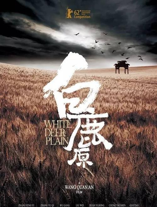 明斯特大学会计文凭证书